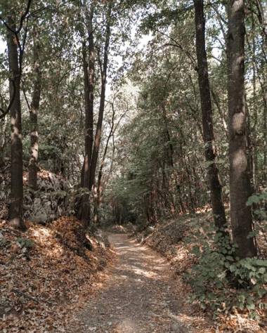 Smeštaj Zeka Tekija