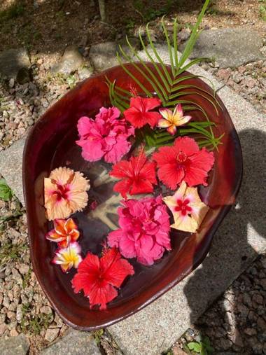 Hilltop Boutique Hotel