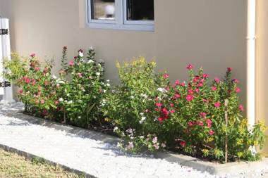 Silhoutte View Apartments