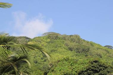 Silhoutte View Apartments