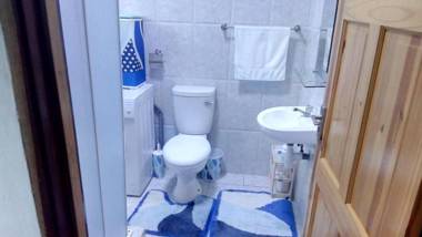 Green Garden Self cathering