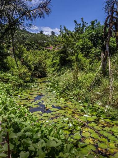 Flora's Self Catering Apartments