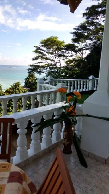 Seychelles Yellow Petals