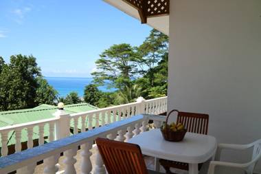 Seychelles Yellow Petals