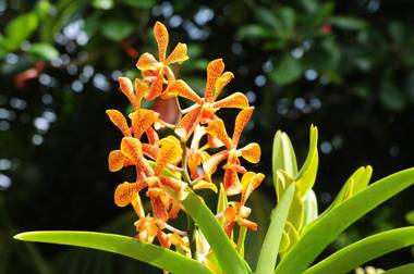 Hostellerie La Digue