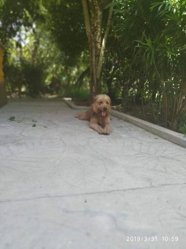 Chez Mera Self Catering