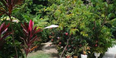 Chez Mera Self Catering