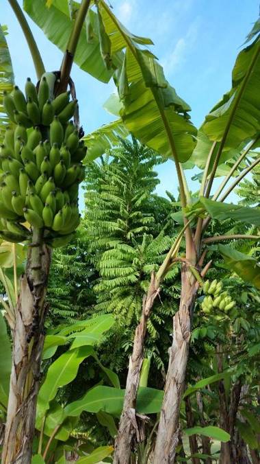 Eden Island Apartment 70A14