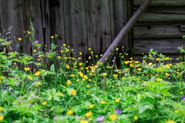 Hotell Klockargården