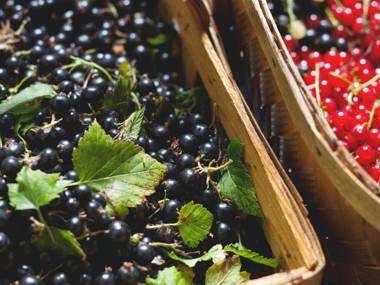 Baggå Skola BnB & Café