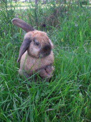 Anna´s Bed & Kitchen