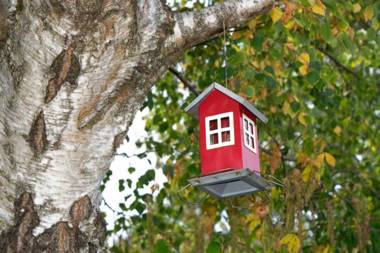 Spirans Rum och Logi