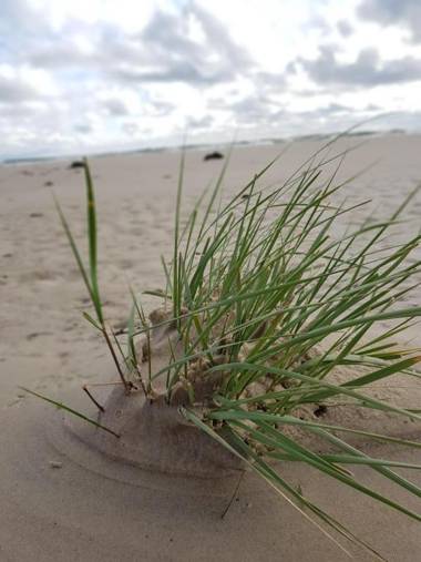 4B Österlen Bed & Breakfast