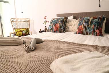 Luxury Business Studio Apartment Street View - CityLiving Umami