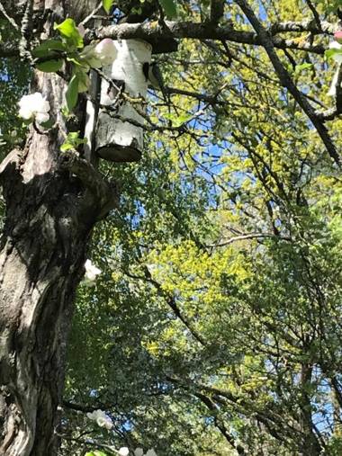 Vandrarhemmet Östergatan