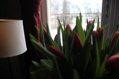 Brunsbo G:a Biskopsgård Hotell & Konferens