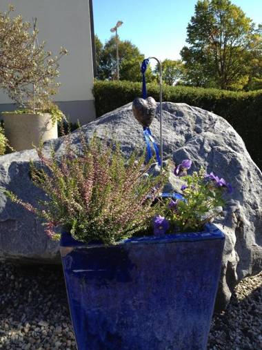 Aurora Bed & Breakfast