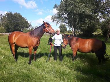 Vita Stenen Rum och Restaurang