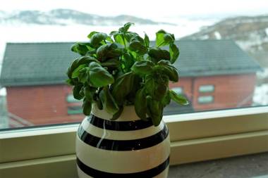 RIBO Apartment Riksgränsen