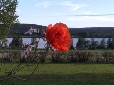 Bed & Breakfast Willa Armas