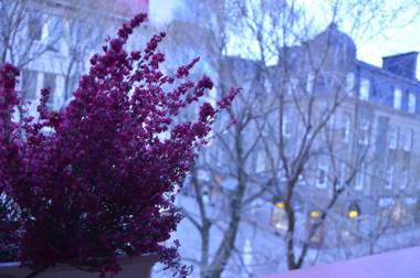 Hotell Zäta Longstay