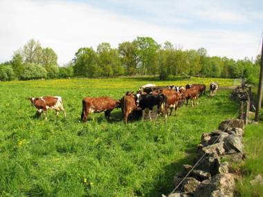 STF Hostel Södra Ljunga