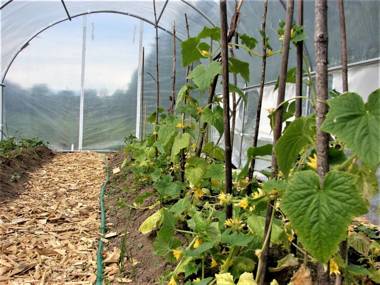 Sjugare Gård Bed & Breakfast