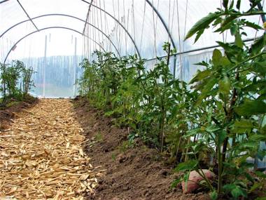 Sjugare Gård Bed & Breakfast