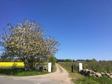 Kastanjegården på Stenshuvud