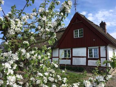 Kastanjegården på Stenshuvud