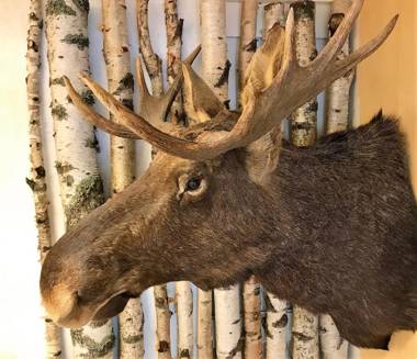 Hällefors Vandrarhem-Hostel & Kanotcenter