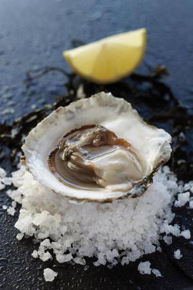 Elite Park Avenue Hotel