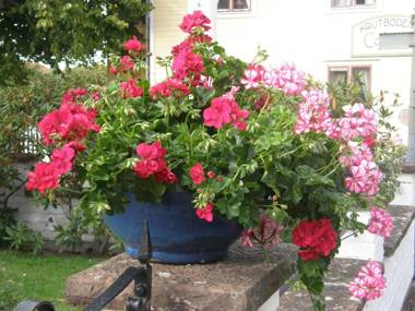 Monicas Rumsuthyrning