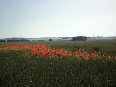 Vadstena Vandrarhem-Hostel