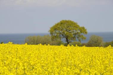 STF Baskemölla Hostel