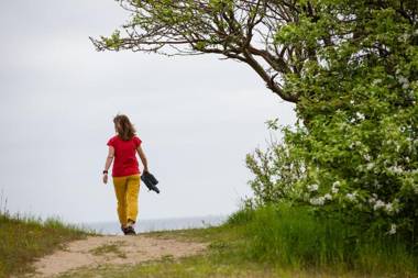STF Brantevik Råkulle Hostel