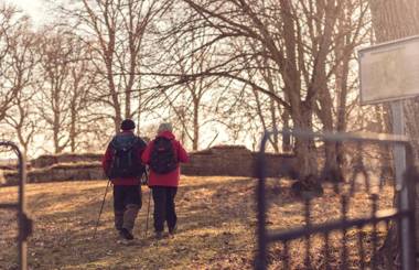 Bosgårdens Cottages