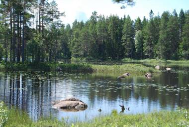 Hamgården Nature Resort Tiveden