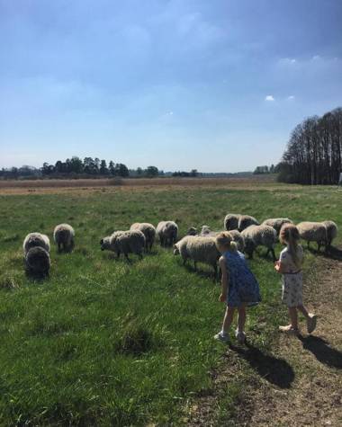 Lindeborgs Eco Retreat