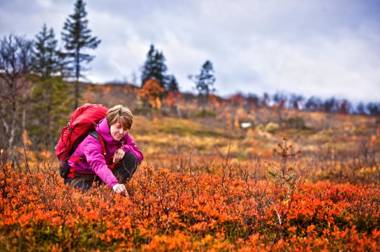 Storhogna Högfjällshotell & Spa