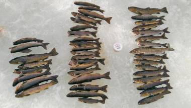 Big River Camp Hotel & Spa