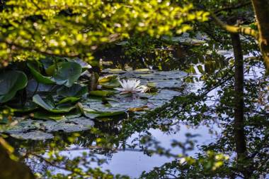 Håkesgård Bed&Garden