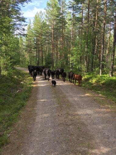 Stenspers Gård PerLarsas