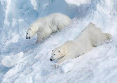 First Camp Moraparken Hotel