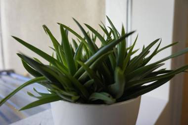 Kristinebergs Bed & Breakfast