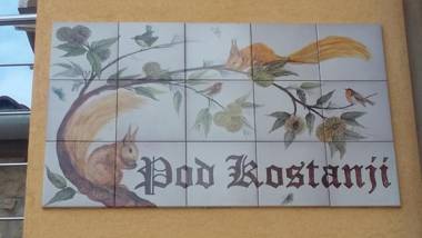 Apartment Pod Kostanji