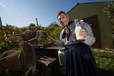 Camping Green Istria