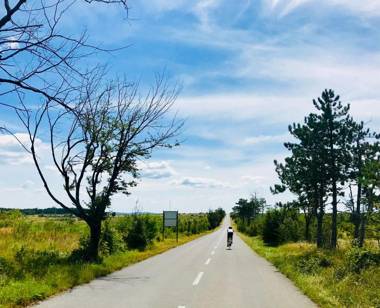 Guest House Hiša ROBIDA