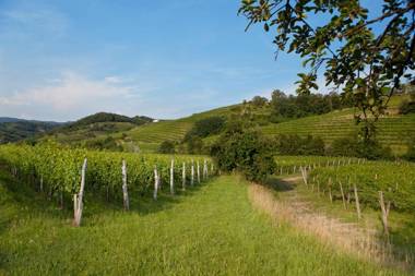 Guest House Kabaj Morel