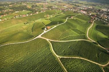 Wine Grower's Mansion Zlati Gric
